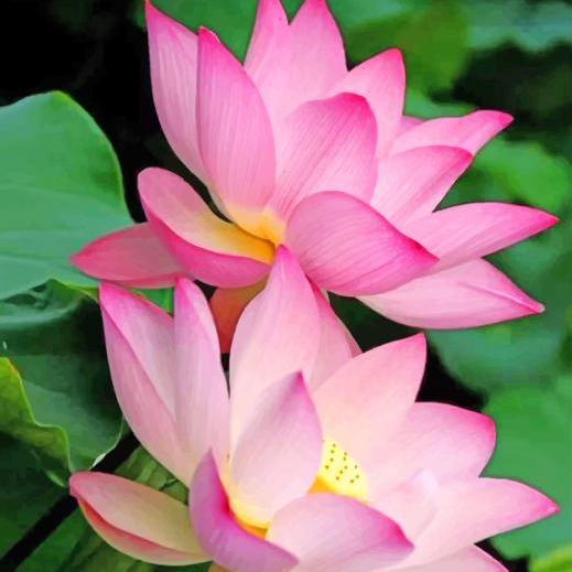 ?தமிழ் கவிதைகள்?