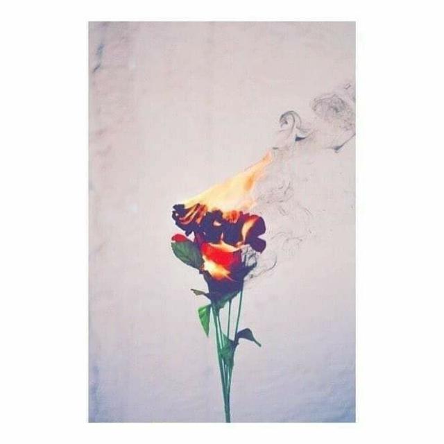 آردو شاعری ?