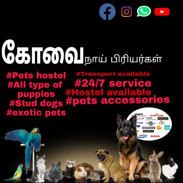 1️⃣கோவை நாய் பிரியர்கள்