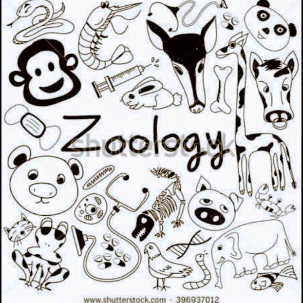 SYBSc Zoology 2021-22