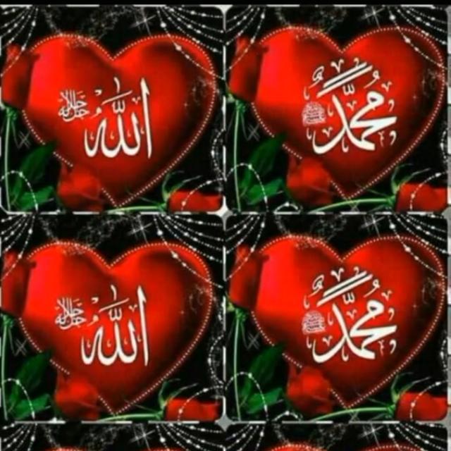 اسلامک گروپ ?