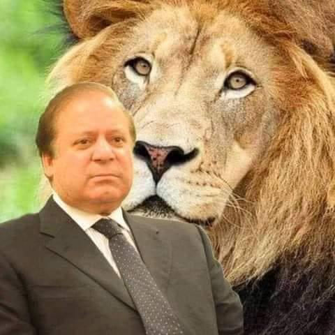 P M L N Whatsapp group