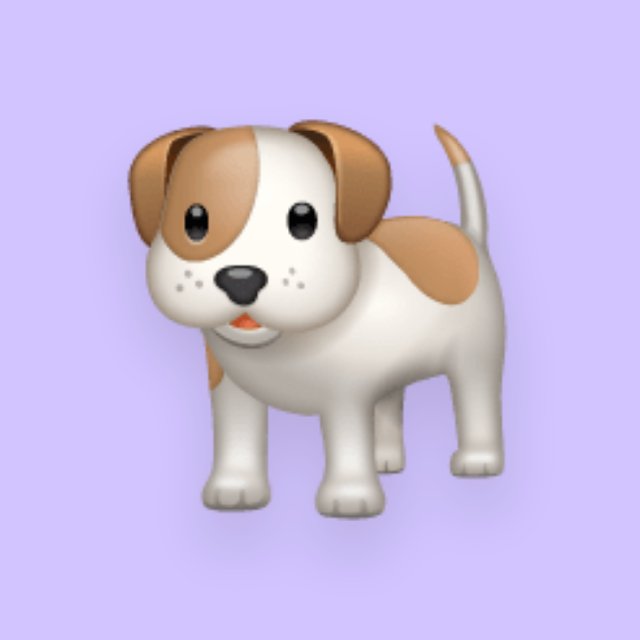INDIA DOG LOVERS?????‍?