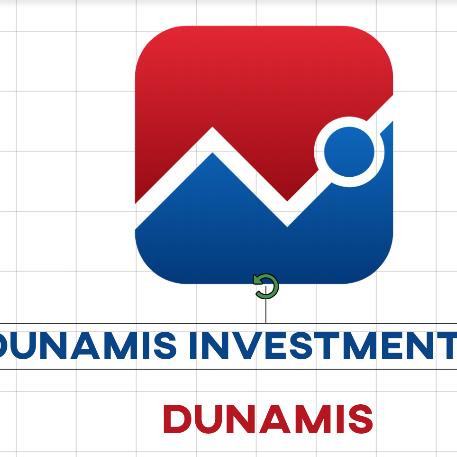 ??DUNAMIS INVESTMENT ??