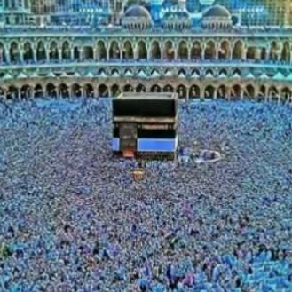 Islamic quotes?