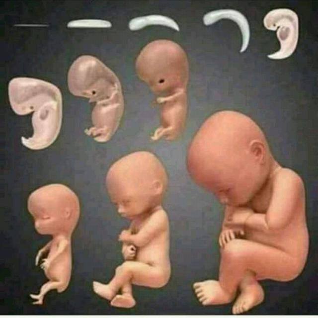 C;C?