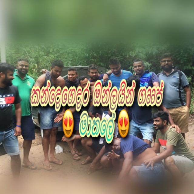 කන්දෙගෙදර බිස්නස් කලාව