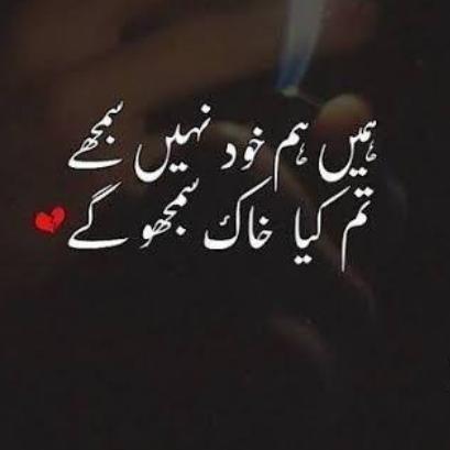 Urdu punjabi portry?