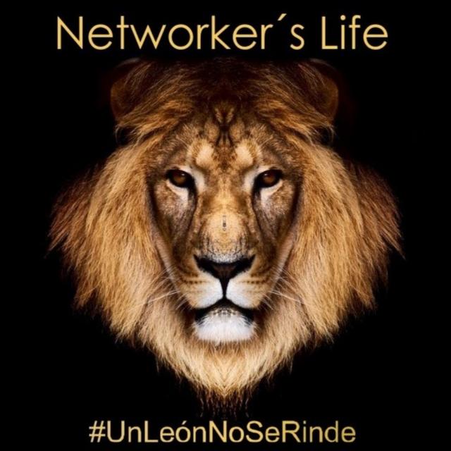 FREE LANCE Whatsapp group