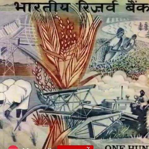 Only video Whatsapp group