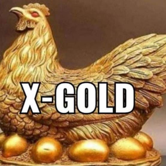 X Gold Launching Soon?