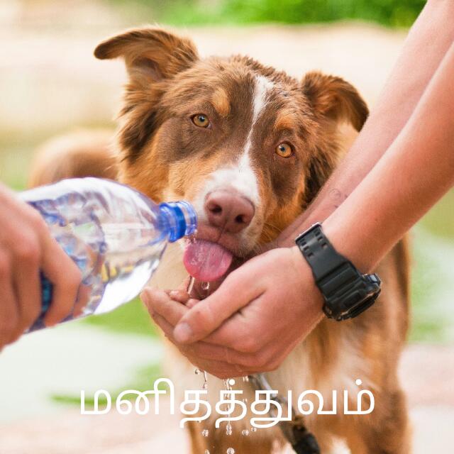 ?? மனிதத்துவம் ??