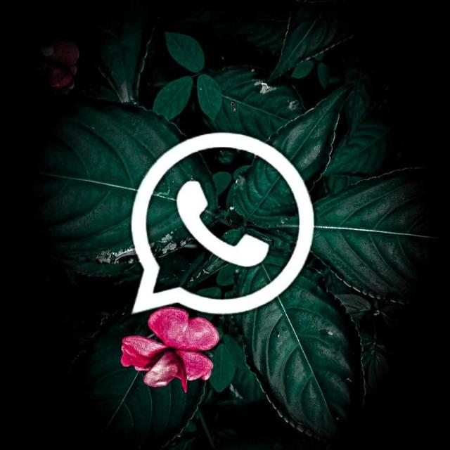 ❥᭄⃞⃝⃟⃟ʀͥᴇᷧᴀͫʟ⃟?වැල් සගරේ?
