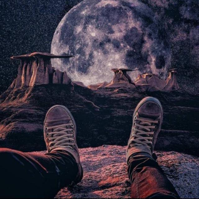 ꧁???????『????』꧂