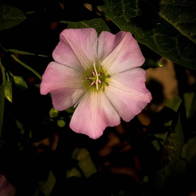 ?️hotography