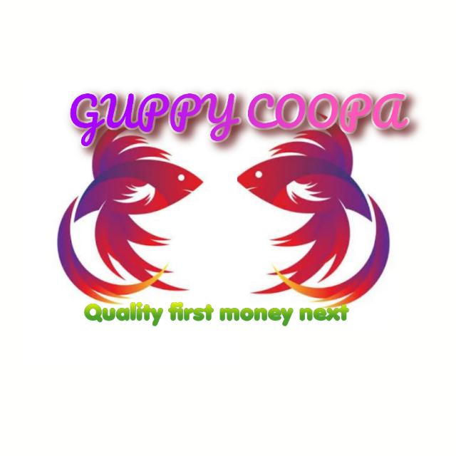 Guppy coopa  OFFICIAL1