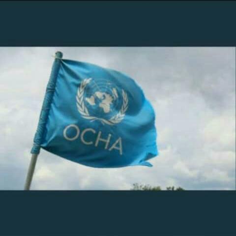 UN Volunteer Teams
