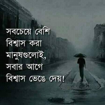 Imotional Life 