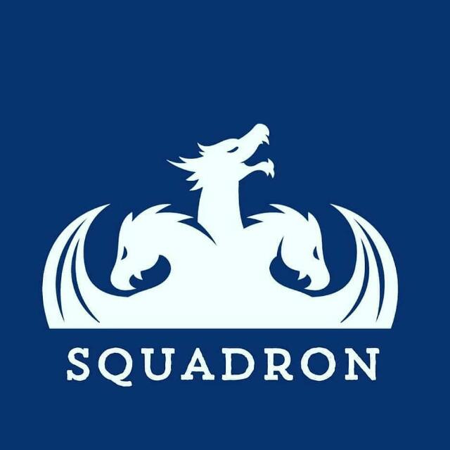 INSTA SQUADRON Whatsapp group