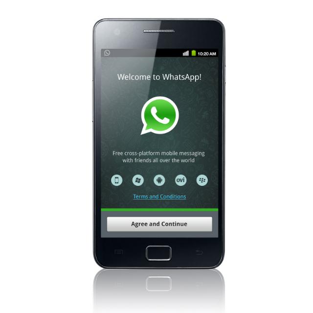 +1 namber whatsapp us only 50