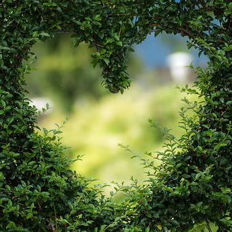??BROKEN HEART??