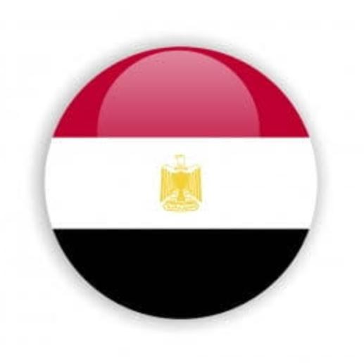EGYPTIAN GROUP INVESTMENT PLATFORM ?????
