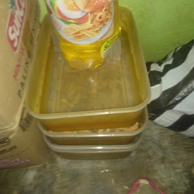 Anak tolol dan anak babi