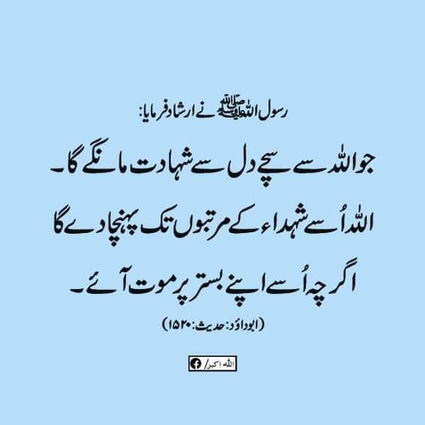 ❤QURAN-O-HADEES❤