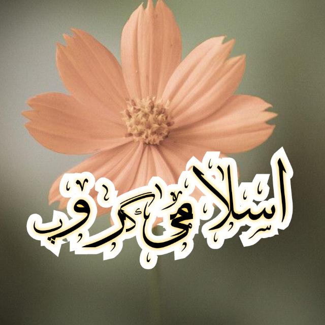 ??اسلامک گروپ ??