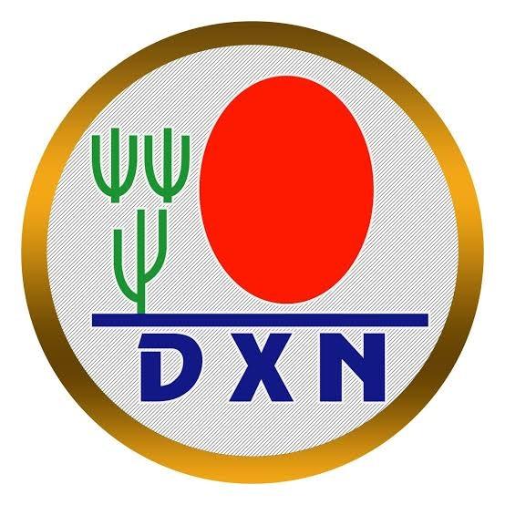 ?D X N  ???? Best Team?