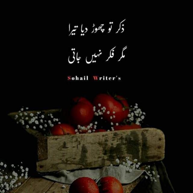 ?HAAL.E.DIL.PART 2?