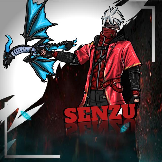 STOK¹ ||  SENZU X OWN