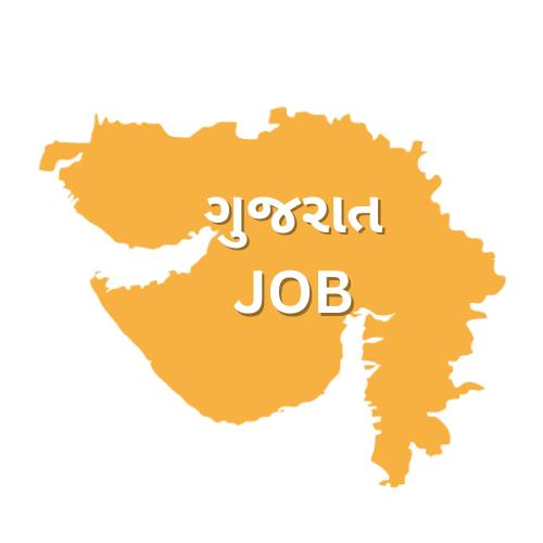 ? સરકારી નોકરી 41