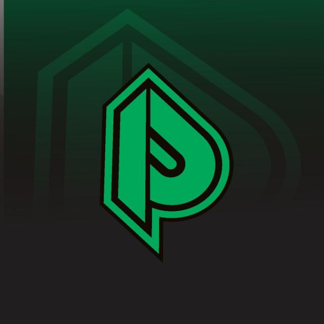PVG ESPORTS