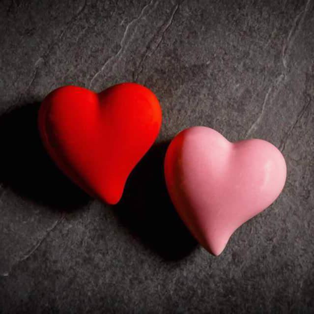 Love is life ?❤?.