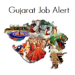 સરકારી નોકરી 2