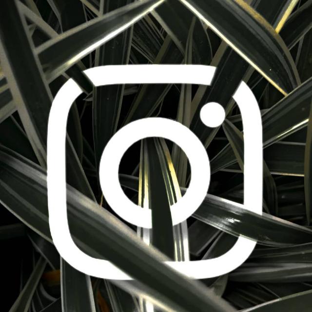 ™♛?||  ??????? (1)