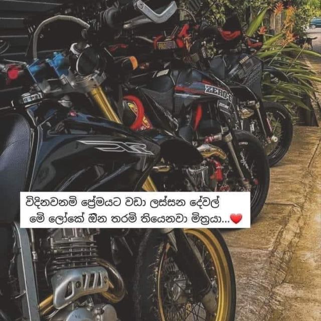 R.V