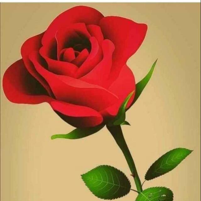 Shop online Whatsapp group