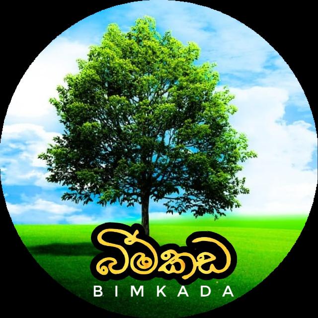 බිම්කඩ ( Which to sale )