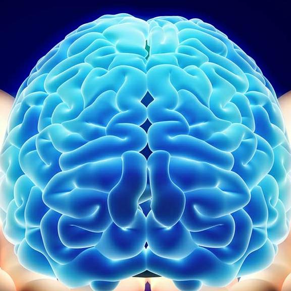 Subconscious Awareness Whatsapp group