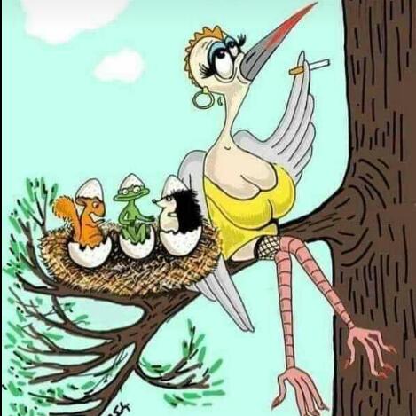 Climax Whatsapp group