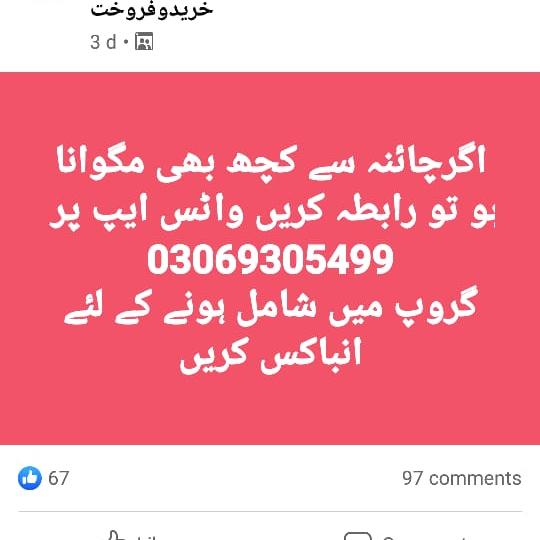 Import Export Services Whatsapp group