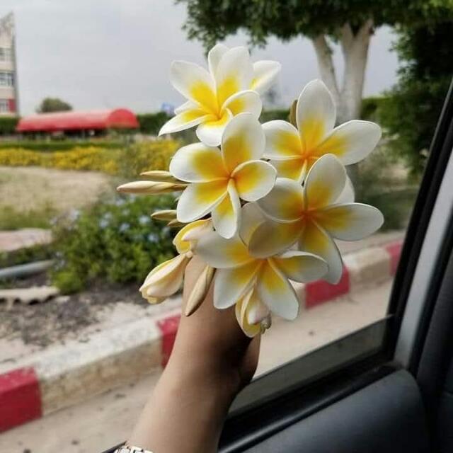 හිරු නිසදැස් ✍️?????