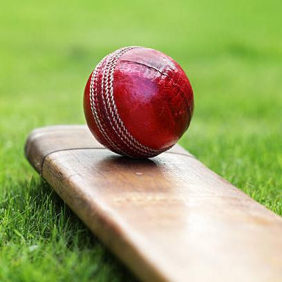 Cricket World