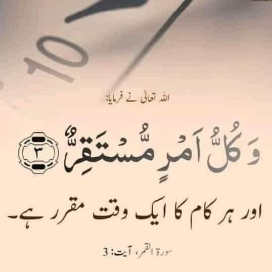 دعوت تبلیغ زندہ باد 5️⃣