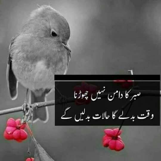 JaTT YAAR 11 DY  group?????