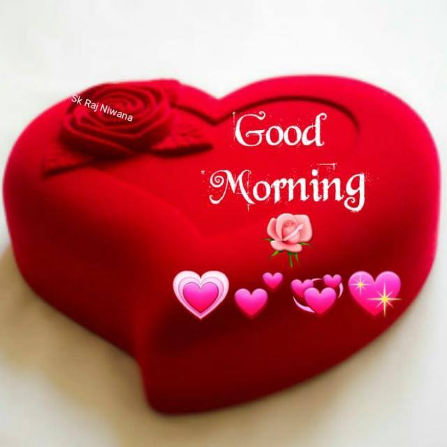 Love❤???❤???❤???❤?❤?❤?❤?