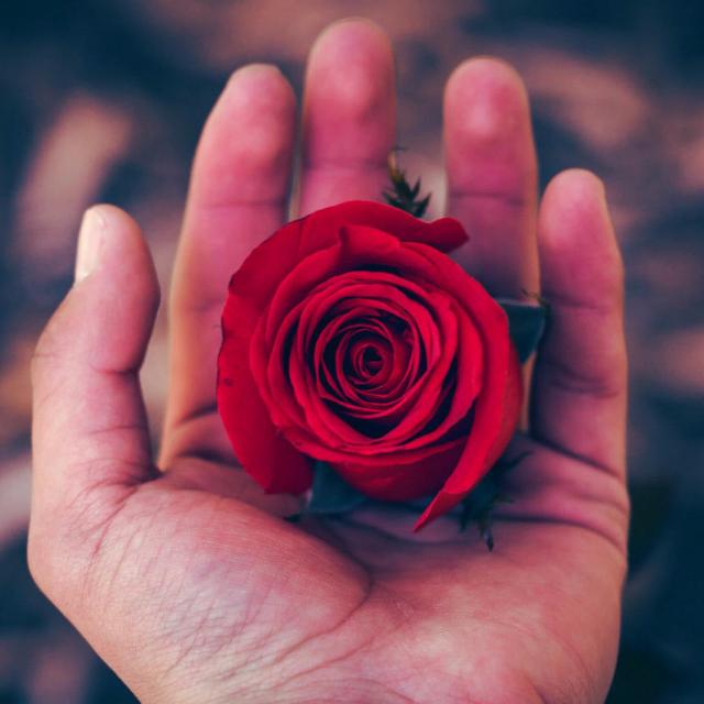 سرائے ادب ? (۳)