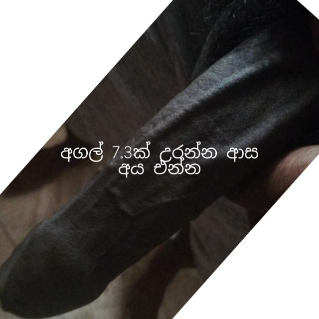 අම්මෝ ඒකේ ලොකූ?